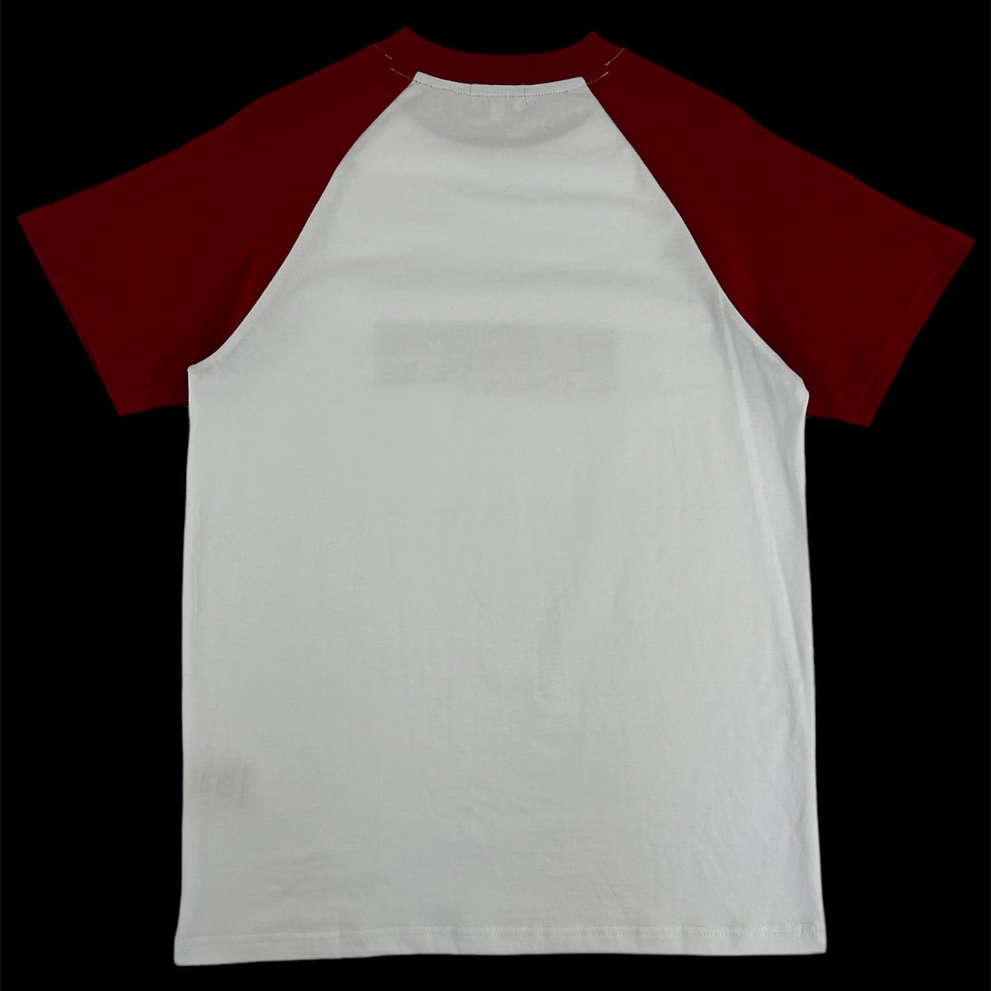 bydex samurai tee [ white ]